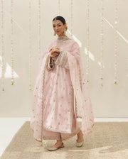 Shrikhand Embroidered Suit Set